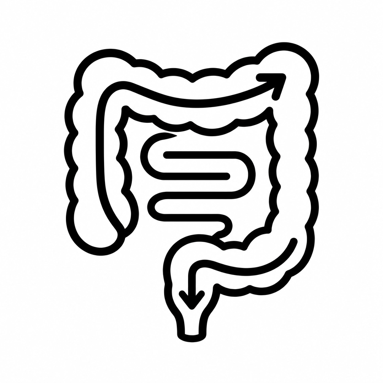 Melhora o trânsito intestinal
